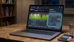 thang-nua-win-half-la-gi